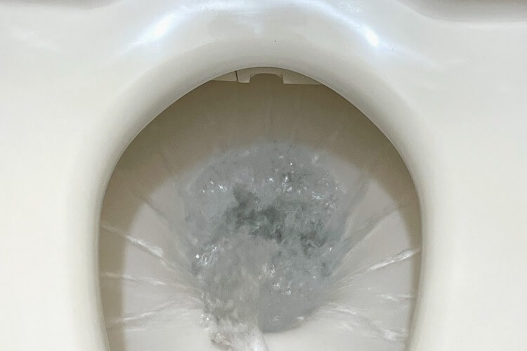 【完全版】トイレの修理方法｜自分で解消する方法と業者の選び方:イメージ